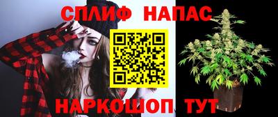каннабис Ачхой-Мартан