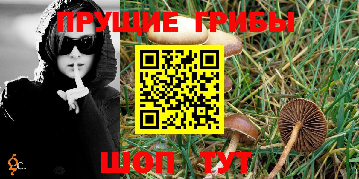 Анапа  Псилоцибиновые грибы Psilocybine cubensis  Вход с VPN 