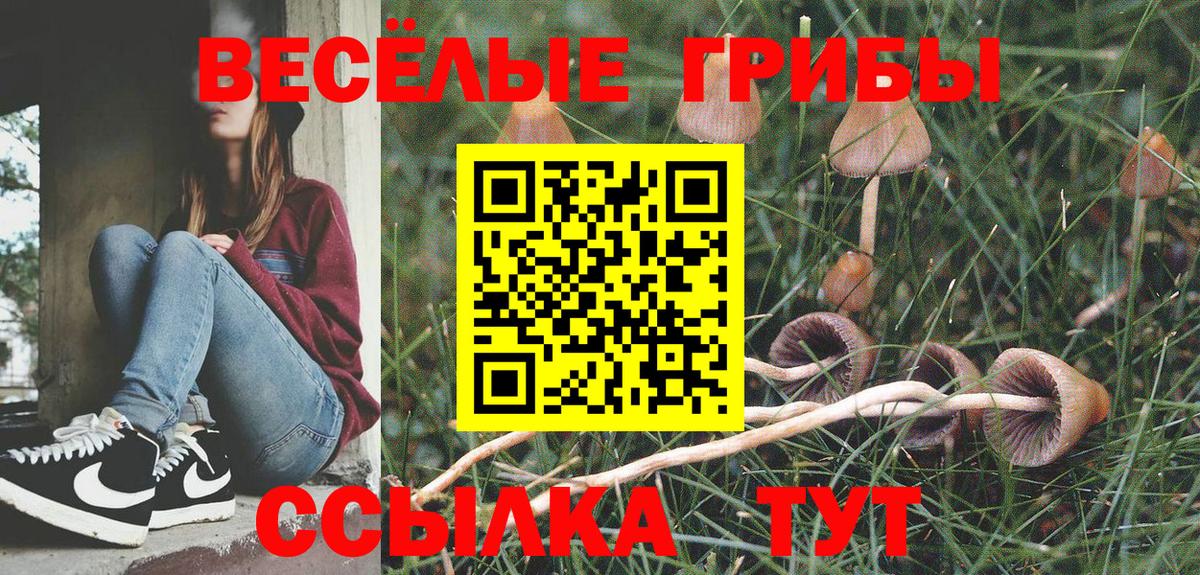 Псилоцибиновые грибы прущие грибы Анапа